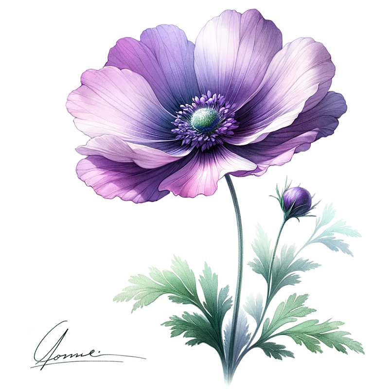 Reproduction sur toile exquise d'anémone mauve, H 20 po x l 20 po x P 1,5 po