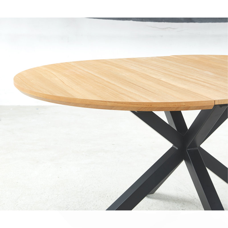 Table extensible, table de salle à manger, table de bureau, table basse, pieds en métal, plateau en MDF, 120 / 160X120x75cm