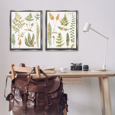 Watercolor Fern Leaves  2 PC Framed Floater Canvas Set by June Erica Vess
