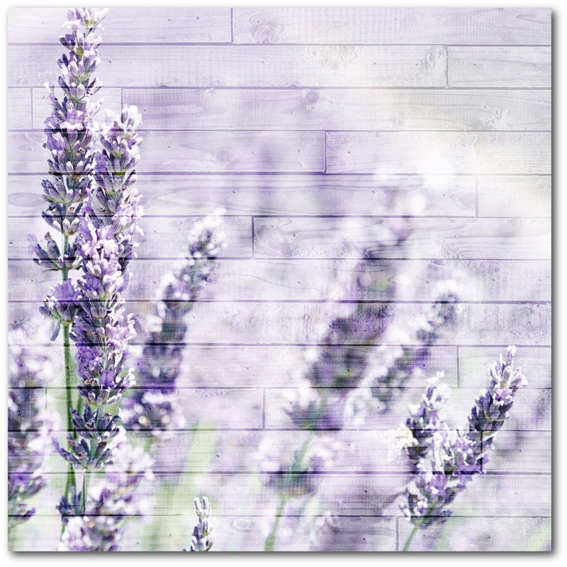 Toile de fond lavande, impression sur toile tendue, H 24 po x l 24 po x 1,5 po