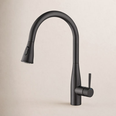 Bari-T Pull-Down Kitchen Faucet