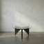 Organum Coffee Table