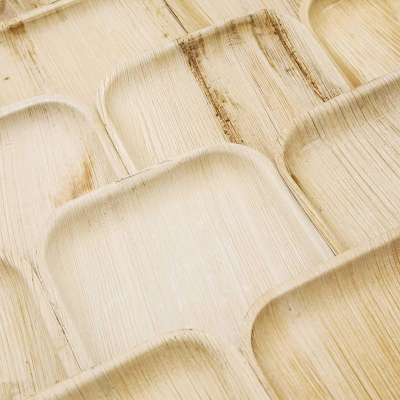 Assiettes jetables de 10 po - Compostables