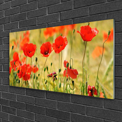 Nature Poppies - No Frame Print on Glass