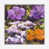 White Floater Framed is unavailable