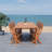 Upper Stanton Rectangular Eucalyptus Extendable Outdoor Dining Table , in. W 35.4'' in. D