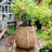 Nairobi Pot Planter-90825230
