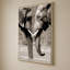 «Together is Better» par Danita Delimont - Impression sur toile-130764909-130764913