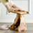 14" Tall Multi-functional Tree Stump Stool, Live Edge Side Table, Plant Stand & Nightstand
