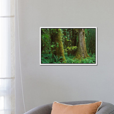 Moss-Covered Trees And Dense Undergrowth In The Hoh Temperate Rainforest, Olympic National Park by Tim Fitzharris - Gallery-Wrapped Canvas Giclée on Canvas