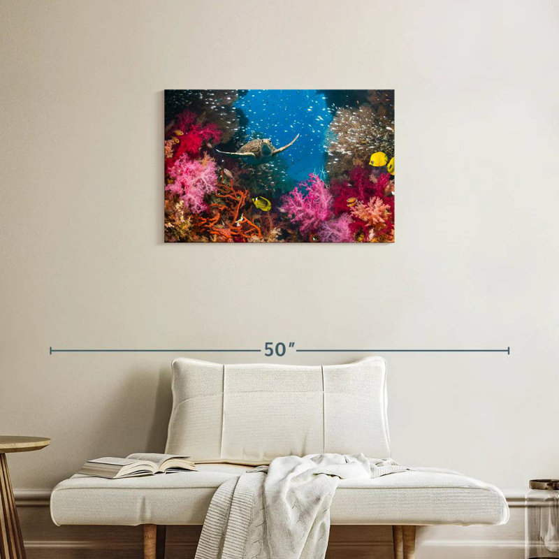 Underwater reef turtle Aletra, H 20 po x l 30 po