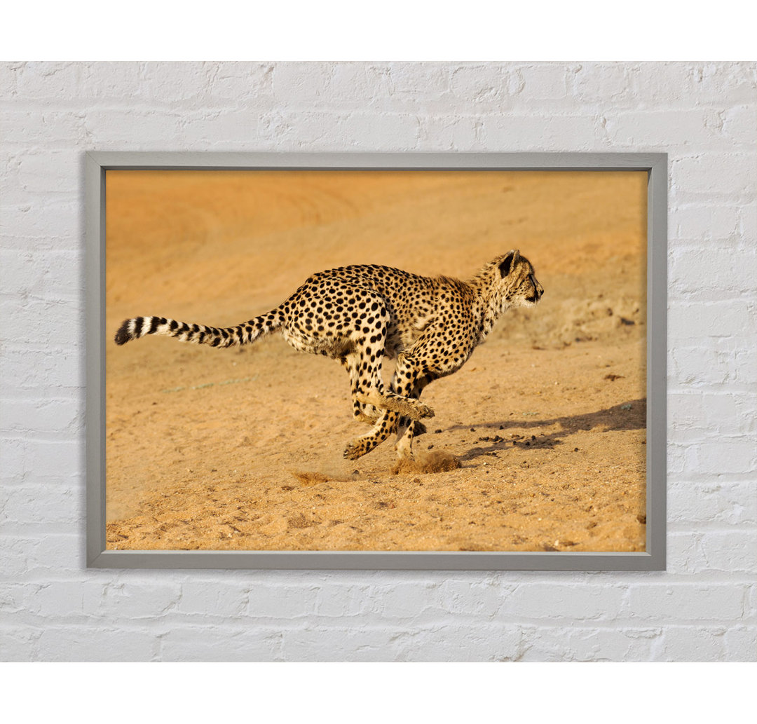 Cheetah Chase - Einzelner Bilderrahmen Kunstdrucke auf Leinwand