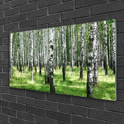 Forest - No Frame Print on Glass