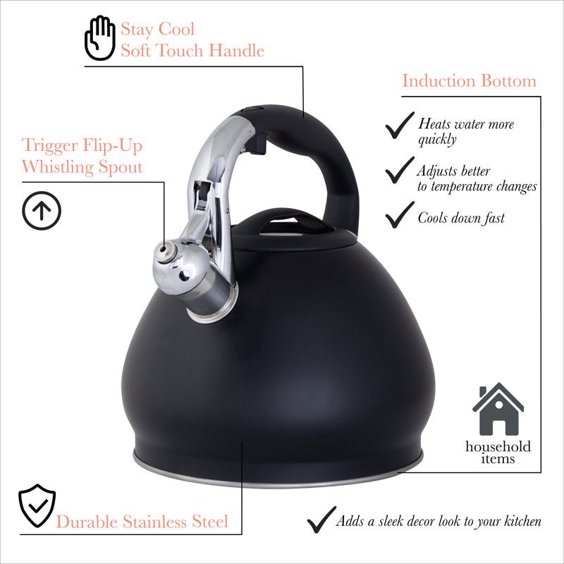 Détails de la cuisine Bouilloire pour cuisinière en acier inoxydable, Noir