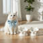 10 bols pour animaux 10 Strawberry Street
