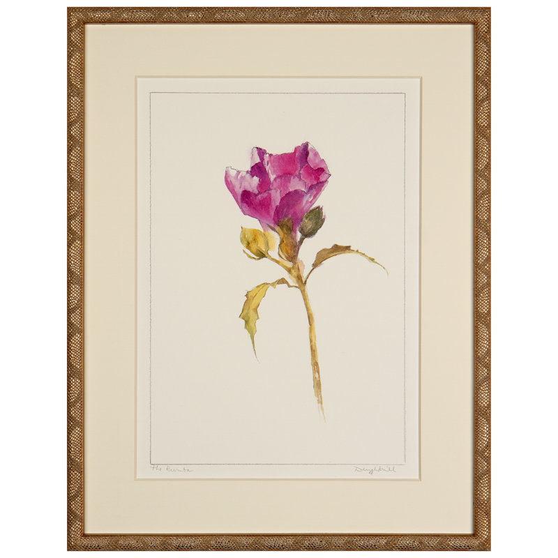 The Rumba Print by Daughdrill