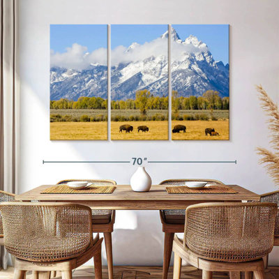 Alvord Bison On Teton Plains