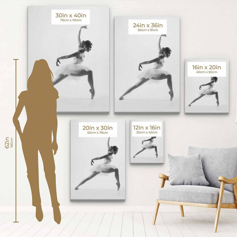 Mise au point gracieuse de Hasanain White: Danseuse de ballet en noir et blanc - photographie, H 16 po x l 12 po, Cadre noir