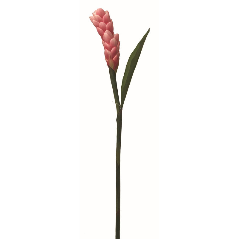 Ginger Torch Arrangement