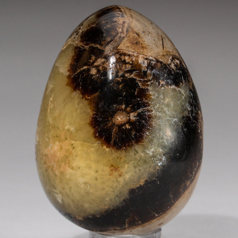 Polished Septarian Egg from Madagascar (0.1984 lbs)