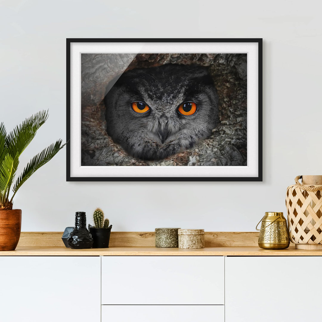 Gerahmter Fotodruck Watching Owl