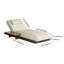Garden Chair with Cushion-222531845