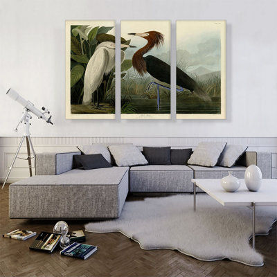 «Purple Heron» par James Audubon - ensemble de 3 reproductions d'art sur toiles tendues
