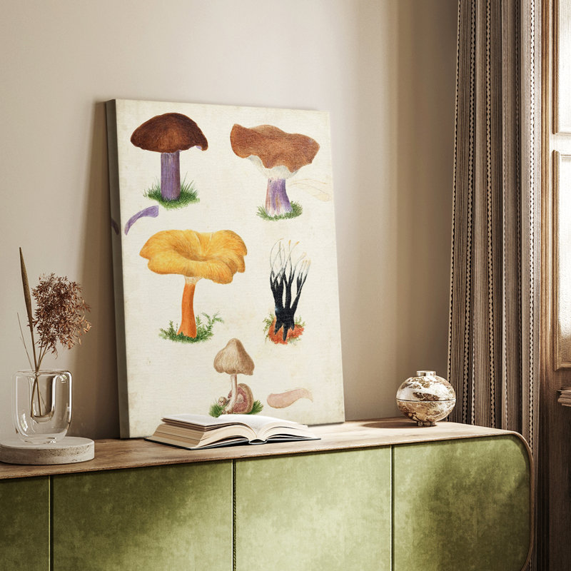 Mushroom Species VII - Gallery Cavas, H 18 po x l 12 po