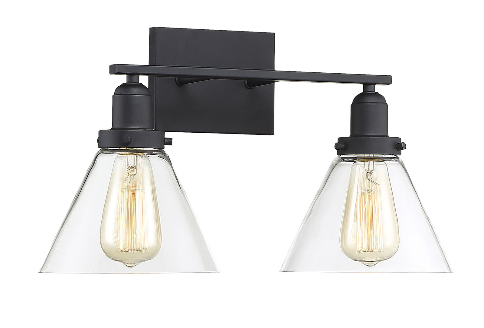 Catalina 2-Light Dimmable Vanity Light, Black