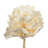 Preserved Queen Flower Arrangement