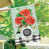 Red/Green Spring
