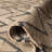 Hawes Hand Loomed Jute, Cotton Geometric Rug-2081029
