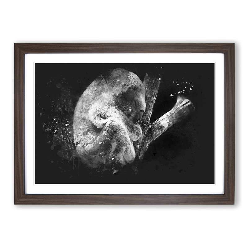 Koala Bear Resting in a Tree - Picture Frame Painting Print, 24cm H x 33cm W x 2cm D, Walnut Framed