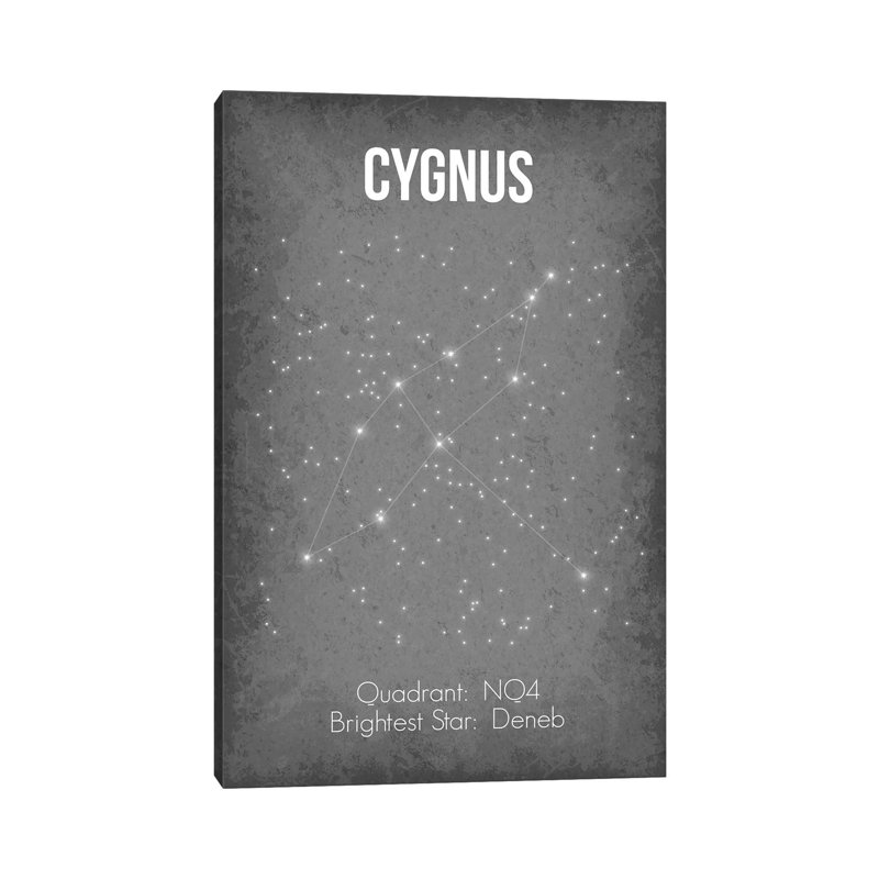 Cygnus - Wrapped Canvas Print, 20.32 cm H x 30.48 cm W