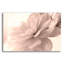 "Pink Dahlia 1" par Judy Stalus