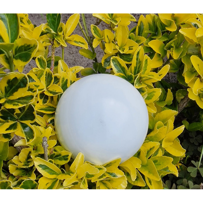 Chalyce Stainless Steel Gazing Ball, White, 20cm H x 20cm W x 20cm D