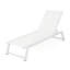 Petrie Outdoor Chaise Lounge Set-26860164