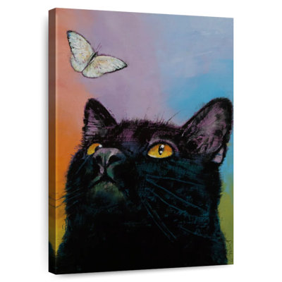 Chat noir Brampt papillon