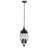 3 - Light Outdoor Hanging Lantern-889073813