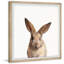 Hop In - Single Picture Frame Print-163879902