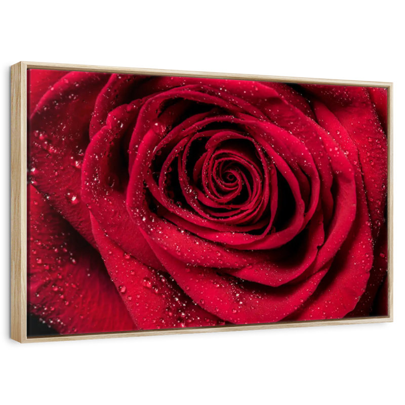 Rosée rouge veloutée, Cadre flottant en bois naturel, 31 po x 21 po