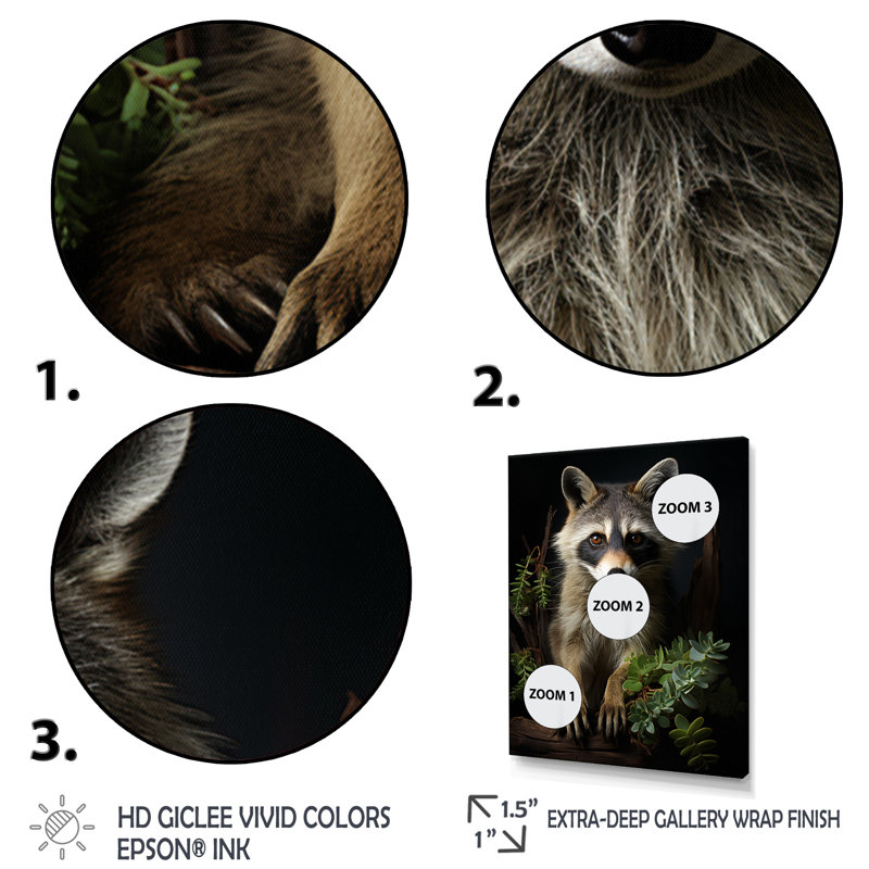«Vibrant Raccoon Portrait I» sur toile, Cadre photo noir, H 20 po x l 12 po x P 1 po