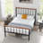 Banesa Metal Platform Bed-1561956895