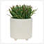 S/2 6/8" TEXTURED PLANTERS-853607263