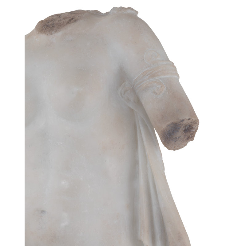 Cyprus Torso on Metal Stand