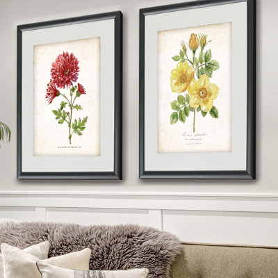 «Botanical III», ensemble de 2 reproductions d'impressions encadrées