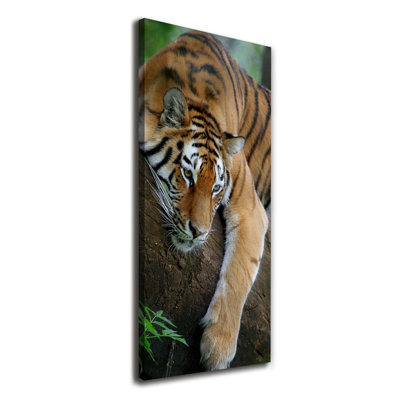 Tiger On The Tree - Wrapped Canvas Print