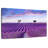 Alvord Valensole Lavender Fields-107704296