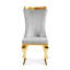 Ensemble de 2 chaises d'appoint rembourrées Monzeratt-611235521