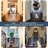 Aybri Plastic Free Standing Pet Gate